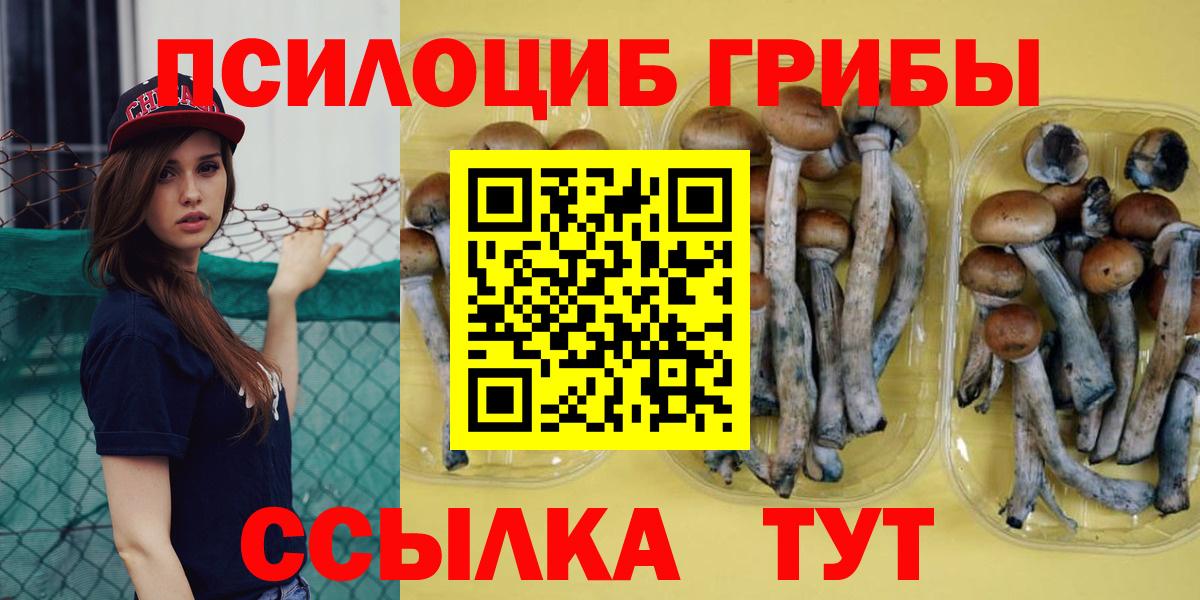 Псилоцибиновые грибы ЛСД Туапсе
