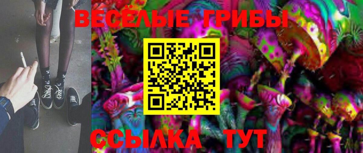 Галлюциногенные грибы GOLDEN TEACHER  Вход с VPN  цены   Туапсе  Псилоцибиновые грибы мицелий 